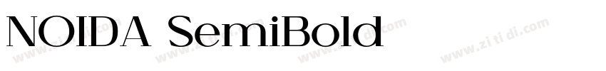 NOIDA SemiBold字体转换